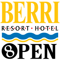 Berri 8 Ball Open